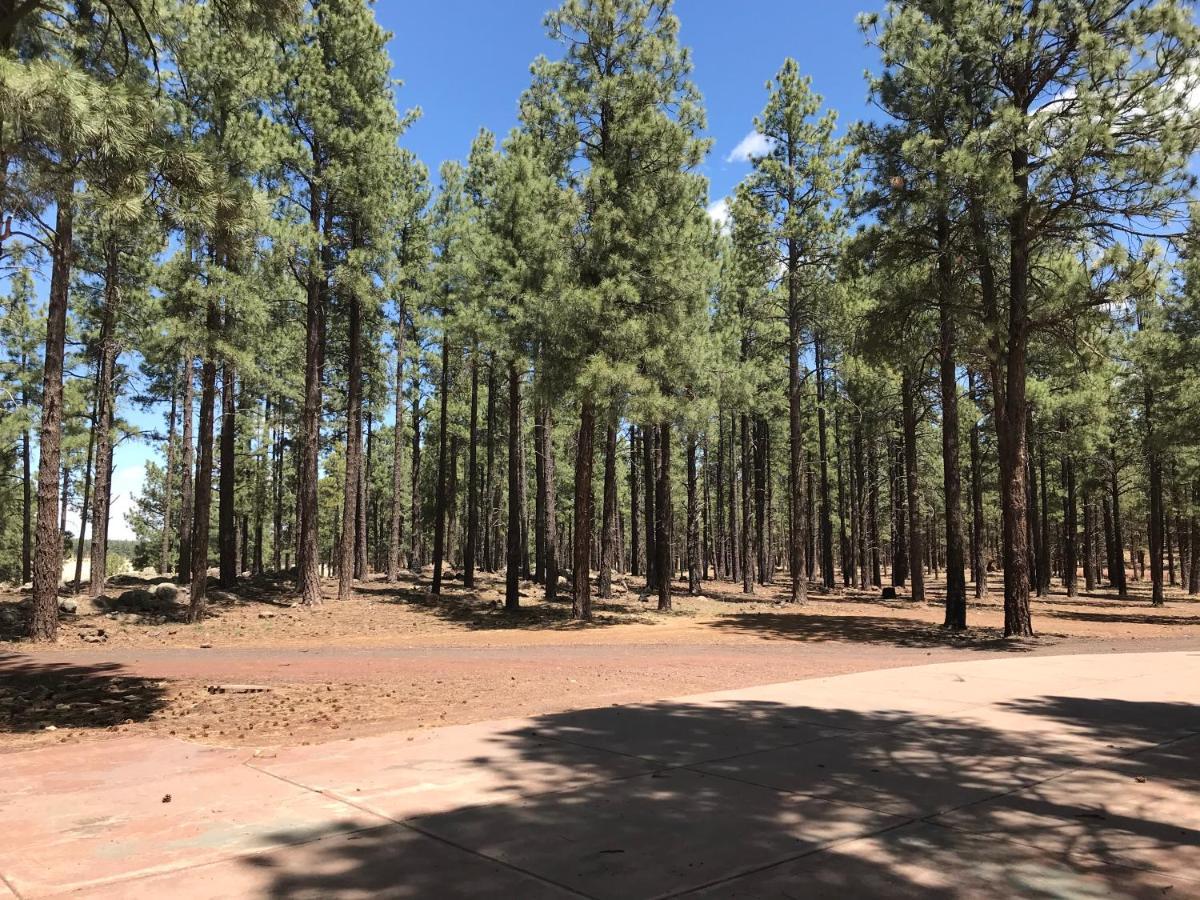 Grand Canyon Cottage At Historic Wrigley Ranch With Horseback Riding & Shooting Parks Екстериор снимка