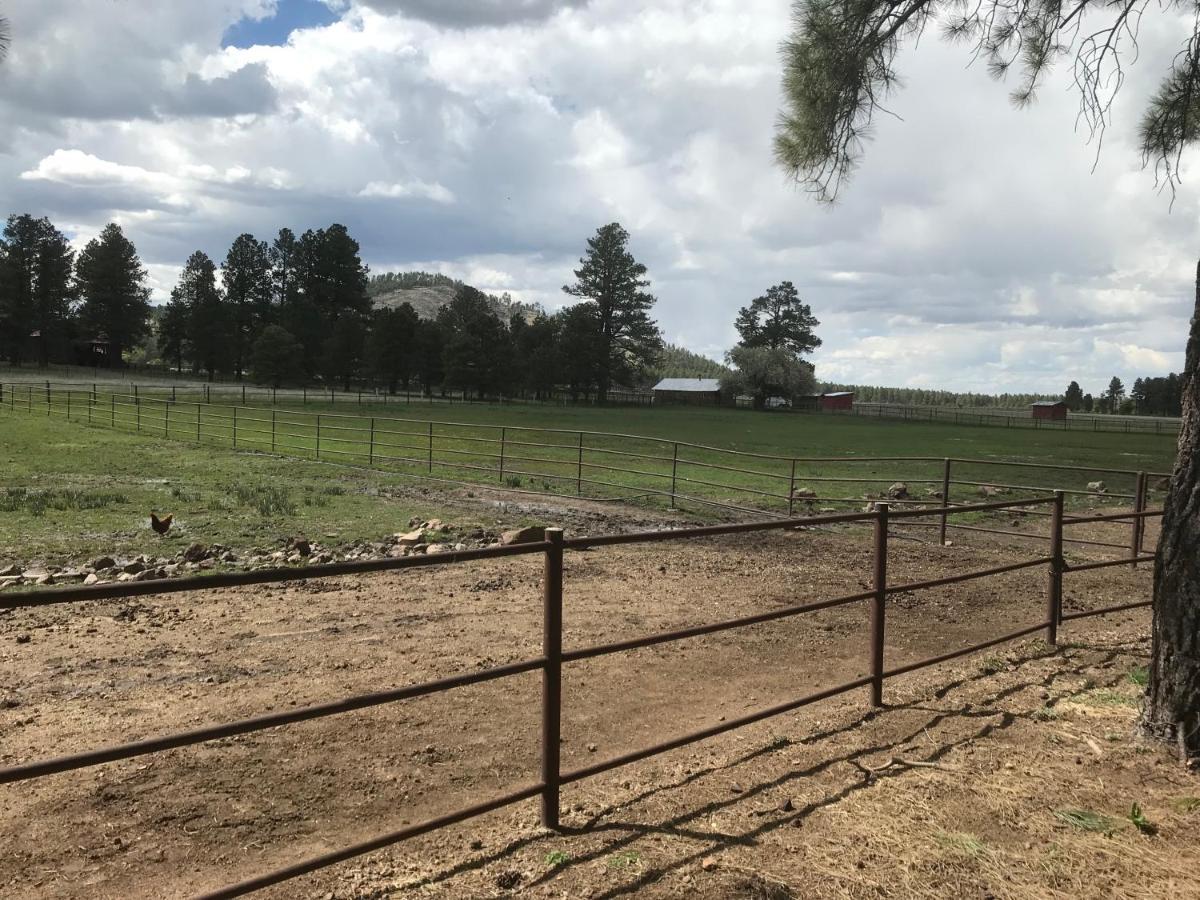 Grand Canyon Cottage At Historic Wrigley Ranch With Horseback Riding & Shooting Parks Екстериор снимка