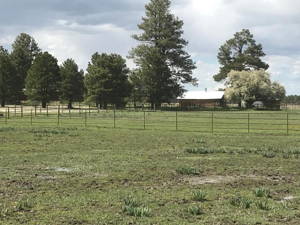 Grand Canyon Cottage At Historic Wrigley Ranch With Horseback Riding & Shooting Parks Екстериор снимка
